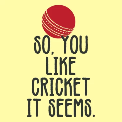 So, You Like Cricket it Seems T-Shirt Design
